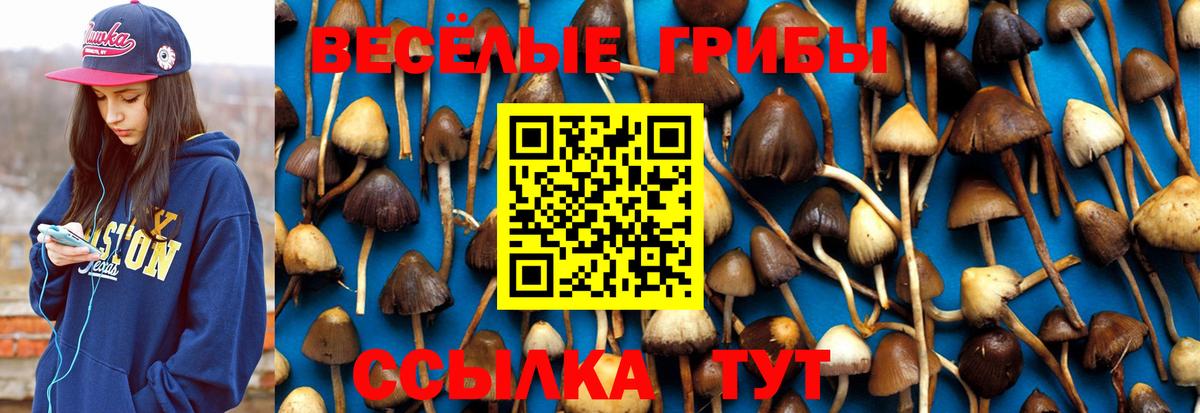 Галлюциногенные грибы Magic Shrooms Курган