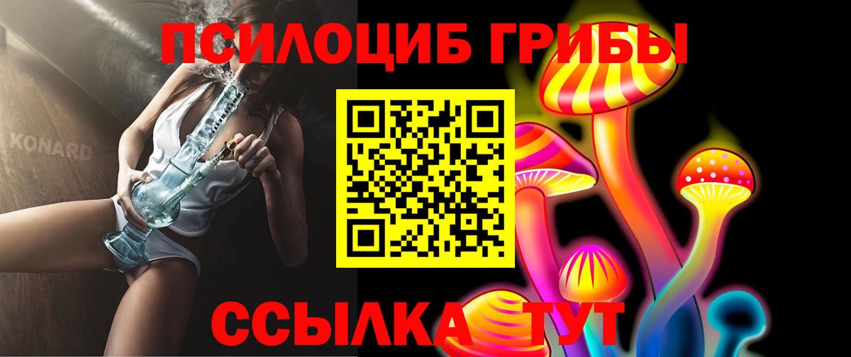 Псилоцибиновые грибы Psilocybine cubensis  Курган 