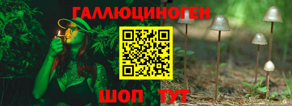 Псилоцибиновые грибы ЛСД Курган